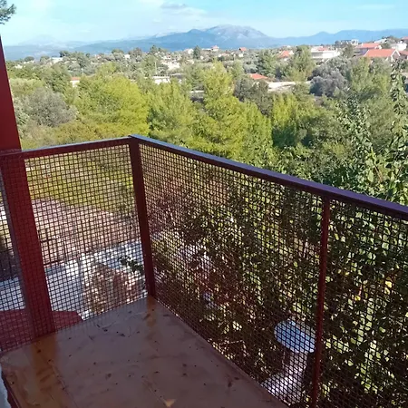 Vasiliki