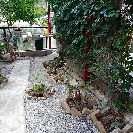 Vasiliki