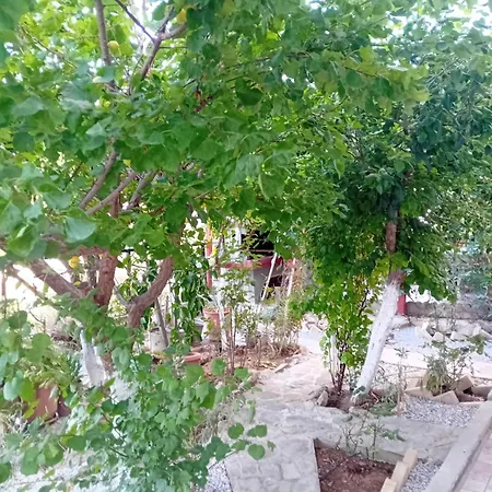 Hébergement de vacances Vasiliki Dhílesi