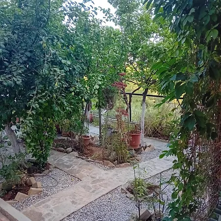 Vasiliki * Dhílesi
