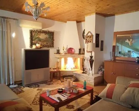 Vasiliki Hébergement de vacances Dhílesi